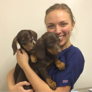 Kirsten – Registered Veterinary Technician